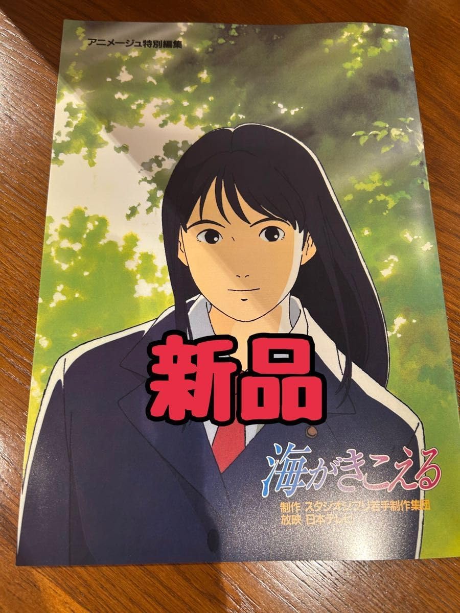 海がきこえる b5版 チラシ 海がきこえる』復刻パンフレット & 上映記念